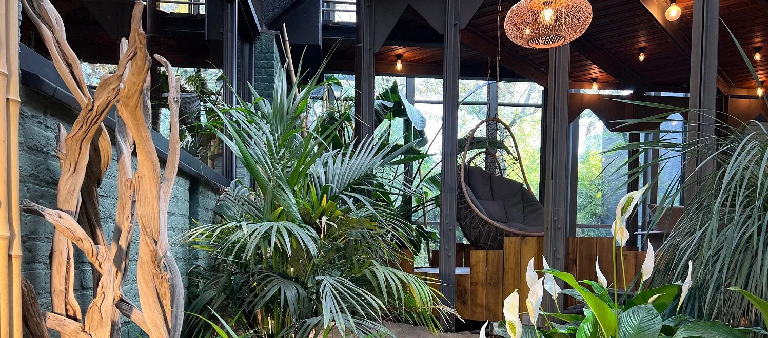 Natural Materials with Biophilia Design