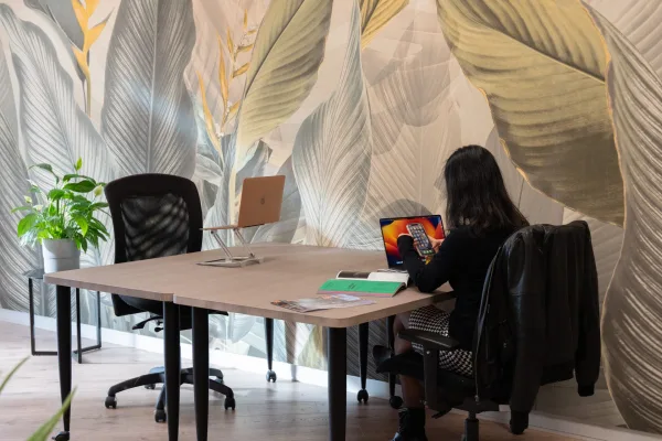 Hot Desk at Workways Paris Val d'Europe from 199€